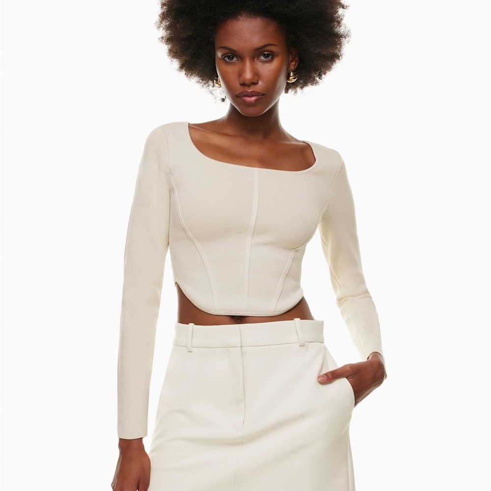 Babaton/Aritzia Sculpt Knit Bustier